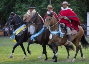 Caballos Peruanos de Paso: exhibición gratuita en Jujuy