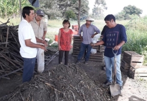 Cooperativa desarrolla con éxito abono agroecológico