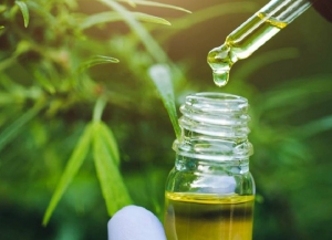 Concluy&oacute; exitosamente el Curso Nacional sobre Cannabis Medicinal