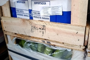 Anuncian el refuerzo de controles contra el ingreso irregular de mercadería importada