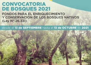 Convocatoria 2021: Enriquecimiento y conservación de Bosques Nativos
