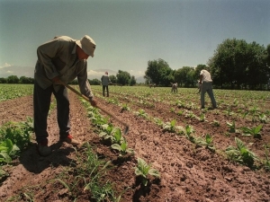 Piden incremento salarial para rurales