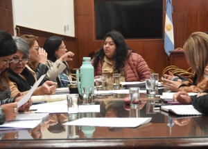 Repudio a la violencia simb&oacute;lica, reconocimiento al 29 de octubre y otros ejes en la Comisi&oacute;n de Igualdad de G&eacute;nero