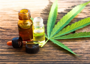 Aprobaron el marco regulatorio de producción de cannabis medicinal