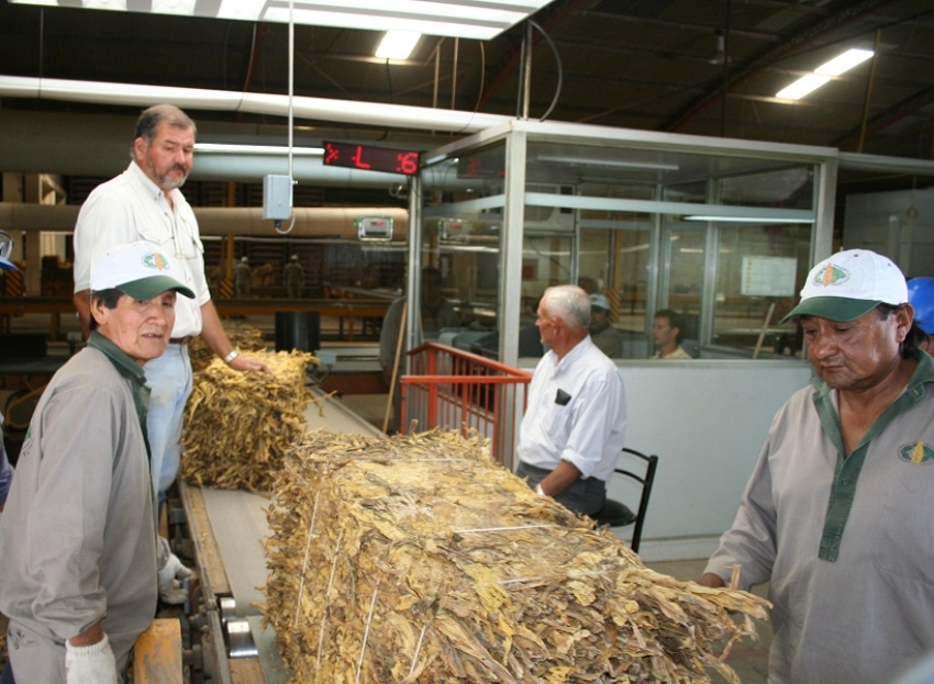 Productores tabacaleros recibieron financiamiento por un monto de 5.000.000 de d&oacute;lares