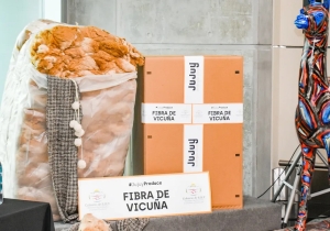Acuerdan nuevas exportaciones de fibra de vicuña a Italia