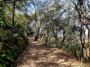 Gran Jujuy presentar&aacute; su primer Mapa de Desarrollo Tur&iacute;stico Sostenible