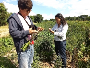 Agr&oacute;nomos: &ldquo;el sector agroindustrial demanda nuevos perfiles especializados&rdquo;