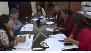 Apoyo a peque&ntilde;os emprendedores