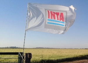 Referentes del INTA piden medidas urgentes para garantizar el funcionamiento