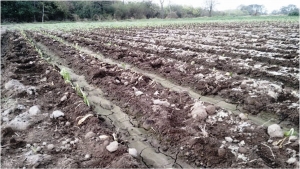 Proyecto Manantiales cada vez m&aacute;s cerca