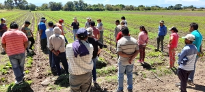Promueven un manejo agroecol&oacute;gico en los Valles templados de Jujuy y Salta