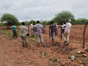 Proyecto para pastura en el "Chaco Juje&ntilde;o"