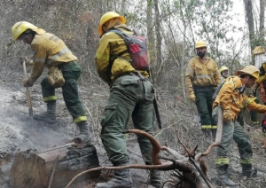 Incendios forestales en grado de “peligro extremo”: preocupación por la afectación de áreas protegidas