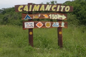 Licitan obras para una Miniestaci&oacute;n de Transferencia en Caimancito