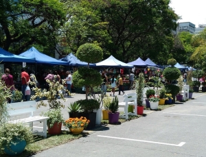 Todo listo para la expo "La Flor M&aacute;s Bella" en la capital provincial