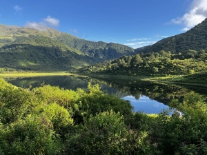 Jujuy destacada en la protecci&oacute;n de sus bosques nativos
