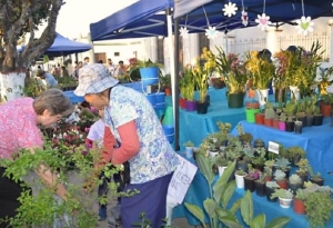 4&deg; Edici&oacute;n de la Fiesta Provincial de la Floricultura