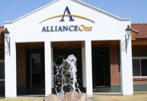 Queda una sola empresa tabacalera en Jujuy: impacto por el cierre de Alliance One