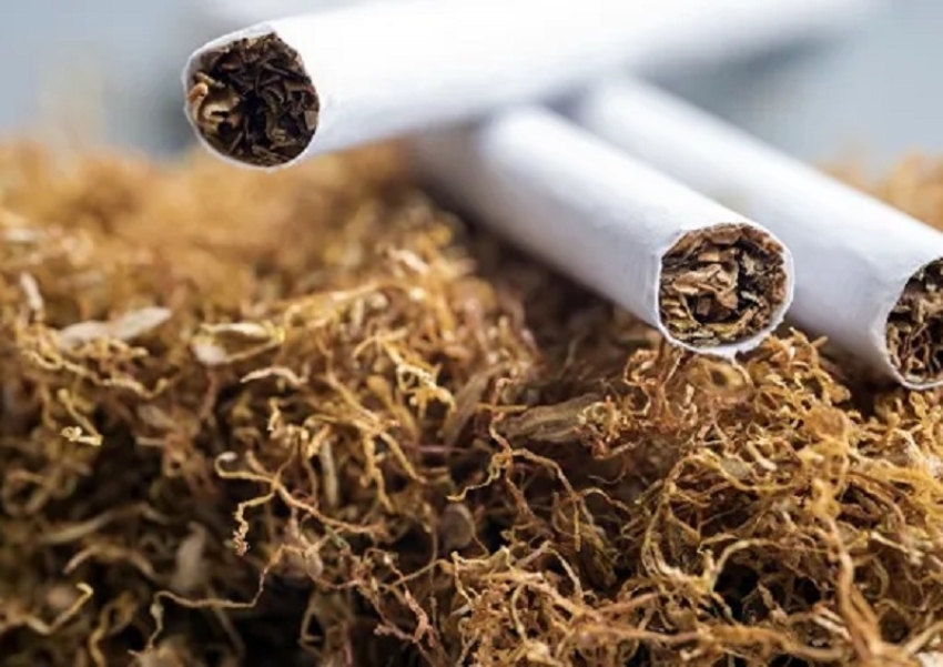 Tabaco: urge la reforma impositiva y preocupa la falta de mano de obra