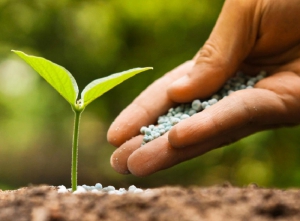 Buenas Prácticas Agropecuarias en el uso responsable de fitosanitarios