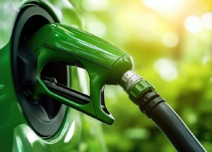 Pymes, biocombustibles y autopartes en la agenda legislativa de Comercio