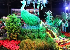 "La Flor m&aacute;s bella": del 11 al 13 de abril se concretar&aacute; la 15&deg; edici&oacute;n