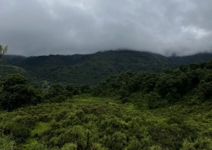 Fondo de Bosques: Zigar&aacute;n anunci&oacute; que Jujuy recibir&aacute; m&aacute;s de 145 millones de pesos