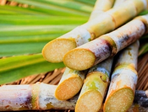 Azúcar amargo: productos de Brasil en góndolas argentinas genera incertidumbre en los productores
