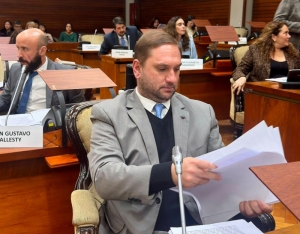 Boleta única de papel: proyecto legislativo apunta a "más transparencia"