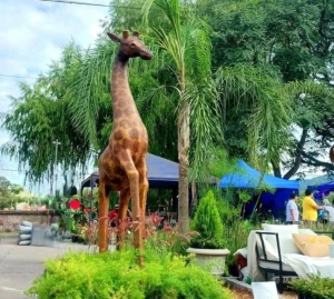 Cuenta regresiva para "La Flor M&aacute;s Bella"