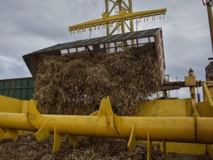 El NOA ya lleva 3,5 millones de toneladas de ca&ntilde;a procesada y contabiliza una positiva campa&ntilde;a exportadora