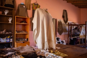 Presentarán el &quot;primer hilo de fibra de llama 100% jujeño&quot;