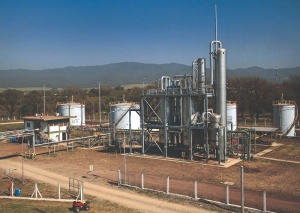 Biocombustibles: “Un gran paso para la transición energética y el desarrollo federal”