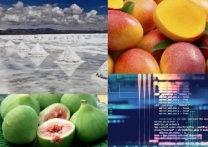 Guerra comercial y alta volatilidad financiera: el an&aacute;lisis de Jujuy en el escenario internacional