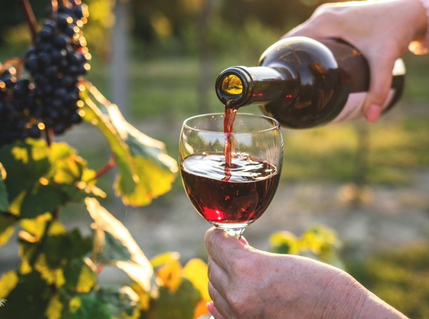 Plan para lograr que el Malbec argentino ingrese a China con "arancel cero"