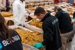 Inspecci&oacute;n fitosanitaria en tiempo real con China: posicionamiento internacional del tabaco juje&ntilde;o