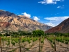 Tilcara será sede del encuentro binacional que pondera las uvas criollas como patrimonio vitivinícola andino