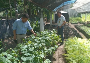 Impulsan capacitaciones a pequeños productores en la Agrotécnica de Perico