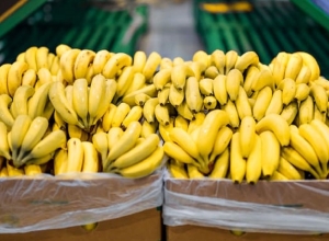 Anuncian el refuerzo de controles fitosanitarios para proteger la producci&oacute;n frutihort&iacute;cola
