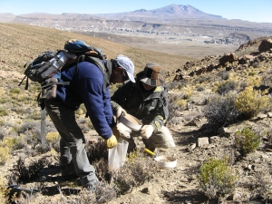 Miner&iacute;a: Publican nuevas &aacute;reas libres disponibles a terceros
