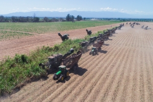 Culmin&oacute; zafra con 317 mil toneladas de producci&oacute;n de az&uacute;car