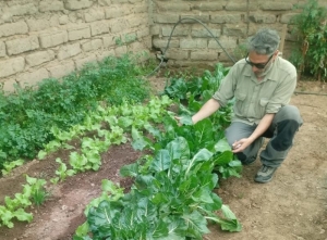La puna juje&ntilde;a se beneficia con el uso de bioabonos