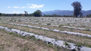 Jujuy pone en marcha el &ldquo;Proyecto de Desarrollo de Cuencas de Alcaparras&rdquo;