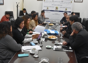 Analizaron proyecto de Ley de Emergencia Habitacional