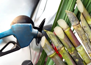 Por una nueva ley de Biocombustibles: &ldquo;aspiramos a crecer de manera sostenible&rdquo;