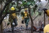 Incendios forestales y la amenaza de Súper El Niño: “a esta batalla no la ganamos únicamente apagando el fuego”