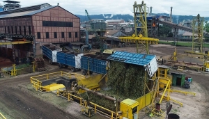 Argentina distribuy&oacute; la cuota de az&uacute;car adicional para exportar a Estados Unidos