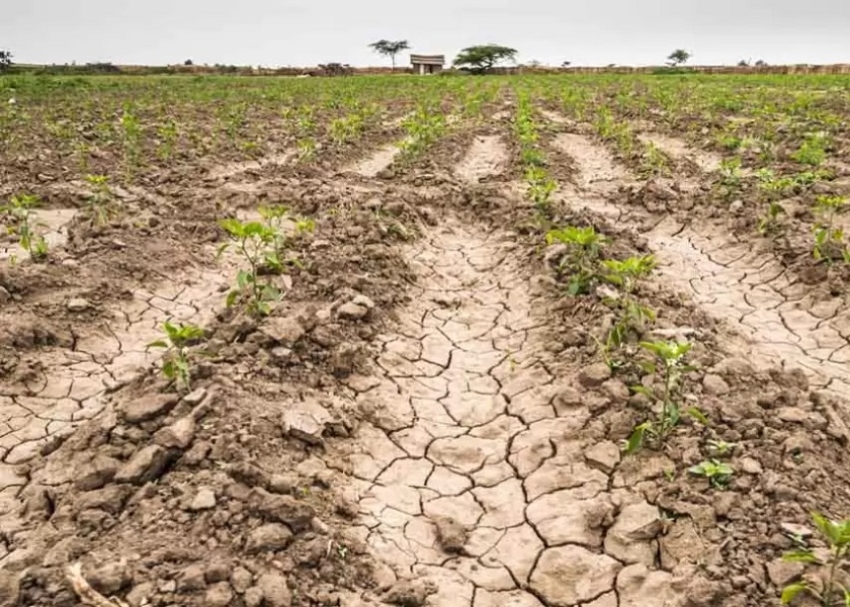 El campo reclamó que se concretó el 16% de la ayuda anunciada por la sequía: &quot;Es la nada misma&quot;