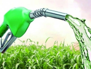 Avanzan preparativos y respaldo para la Segunda Cumbre del Bioetanol